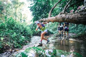 BIB: 
                            <button type="button" onclick="openModal(25436831)" class="btn btn-primary btn-sm float-right btn-popup" data-toggle="modal" data-target=".modal-high-quality">
                        <i class="fas fa-shopping-cart"></i> Add to Cart
                    </button>
                                            <button type="button" onclick="isThisMe(25436831, true)" class="btn btn-success btn-sm float-right btn-popup btn-isme hidden" data-toggle="tooltip" data-placement="bottom" title="นี่คือรูปของคุณใช่ไหม คลิกที่นี่เพื่อเอาเข้าอัลบั้ม">
                        <i class="fas fa-plus"></i> Add to album
                    </button>
                    <button type="button" onclick="isThisMe(25436831, false)" class="btn btn-warning btn-sm float-right btn-popup btn-isnotme hidden">
                        <i class="fas fa-ban"></i> Remove from album
                    </button>